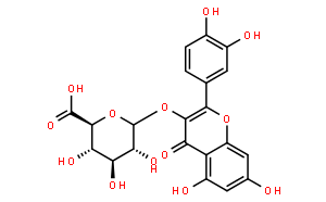 槲皮素-3-O-β-D-吡喃葡糖苷酸；槲皮素-3-葡萄糖醛酸苷