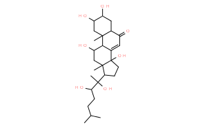 筋骨草甾酮C