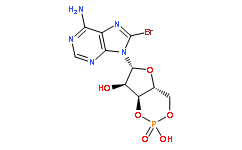 8-BROMOADENOSINE 3':5'-CYCLIC MONOPHOSPHATE