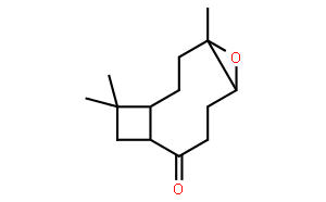 Kobusone