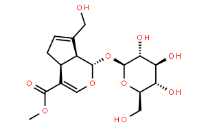 栀子苷(京尼平苷)