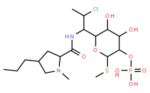 Clindamycin Phosphate 克林霉素磷酸酯