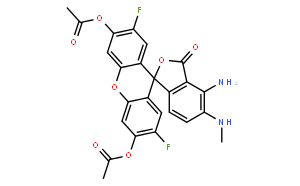 DAF-FM DA (cell permeable)