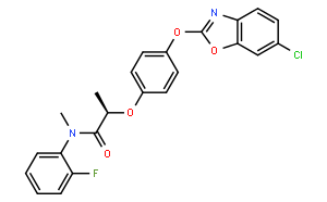 2-(4-((6-氯苯并[d]恶唑-2-基)氧基)苯氧基)-N-(2-氟苯基)-N-甲基丙酰胺