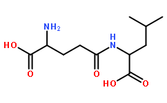 N-L-γ-GLUTAMYL-L-LEUCINE