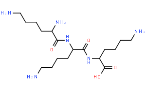 多聚-L-賴氨酸