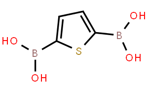 Thiophene-2,5-diyldiboronic acid