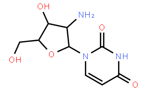 2′-氨基脫氧尿苷