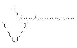 1-Palmitoyl-2-oleoyl-sn-glycerol-3-phosphocholine