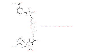 还原型β-烟酰胺腺嘌呤二核苷酸2′-磷酸四钠盐水合物