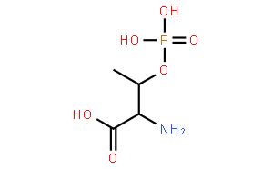 O-Phospho-DL-threonine