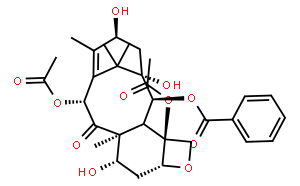 Baccatin Ⅲ?巴卡亭?Ⅲ