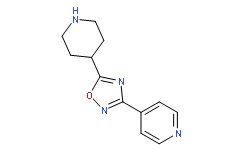 5-(哌啶-4-基)-3-(吡啶-4-基)-1,2,4-恶二唑