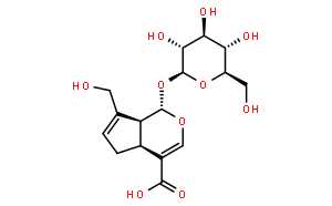 京尼平苷酸；栀子苷酸