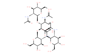 N-乙酰化的壳四糖