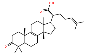 β-榄香酮酸;β-岚香酮酸