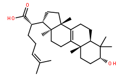 α,β-Elemolic acid