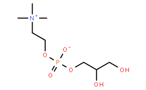 甘油磷酰胆碱GPC