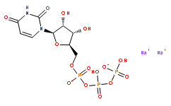 5-尿苷三磷酸二钠盐