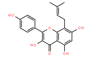 8-異戊烯基山奈酚