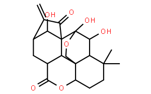 毛栲利素
