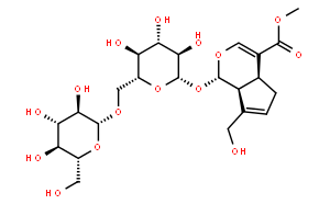 京尼平龍膽雙糖苷;京尼平3-β-D龍膽雙糖苷