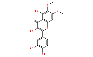 Eupatoletin