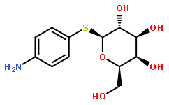 4-氨基苯基-1-硫代-β-D-半乳糖苷