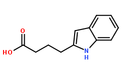 4-(1H-Indol-2-yl)butyric acid