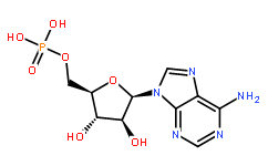 單磷酸阿糖腺苷