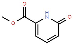 6-氧代-1,6-二氫吡啶-2-羧酸甲酯