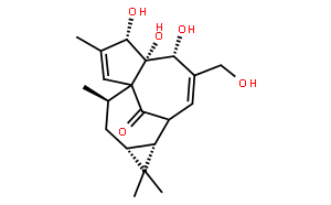 巨大戟醇