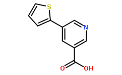 5-(Thiophen-2-yl)nicotinic acid