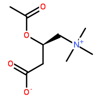 L-Acetylcarnitine (hydrochloride)(free base)