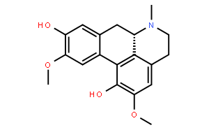 Isoboldine