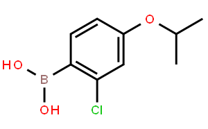 2-氯-4-异丙基苯硼酸