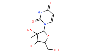 2'-C-甲基尿苷