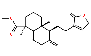 红松内酯