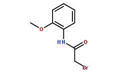 2-溴N-(2-甲氧基苯基)乙酰胺