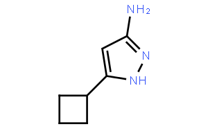 3-氨基-5-环丁基-1H-吡唑