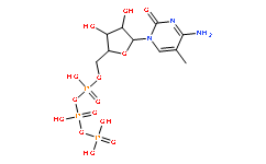 5-Methylcytidine-5'-triphosphate sodium salt -