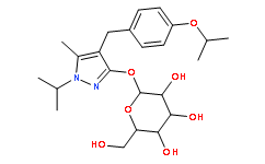 Remogliflozin - GSK 189074