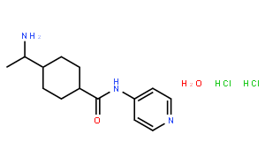 Y-27632 Dihydrochloride Hydrate