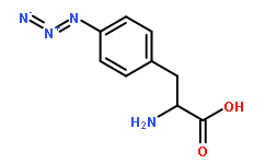 CAS:33173-53-4,4-叠氮基-L-苯丙氨酸价格