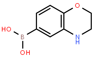 3,4-二氢-2H-1，4-苯并恶嗪6-硼酸