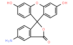 5-氨基荧光素;5-AFM