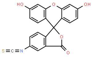 异硫氰酸荧光素, 异构体 1