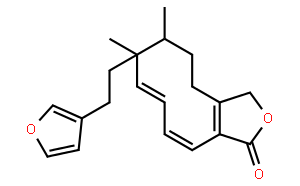 Dodonolide
