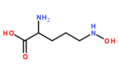 N5-hydroxy-L-ornithine