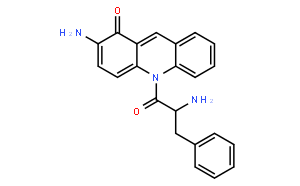 N-(L-Phenylalanyl)-2-aminoacridone